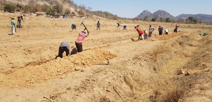 Zimbabwe SWRT Trial