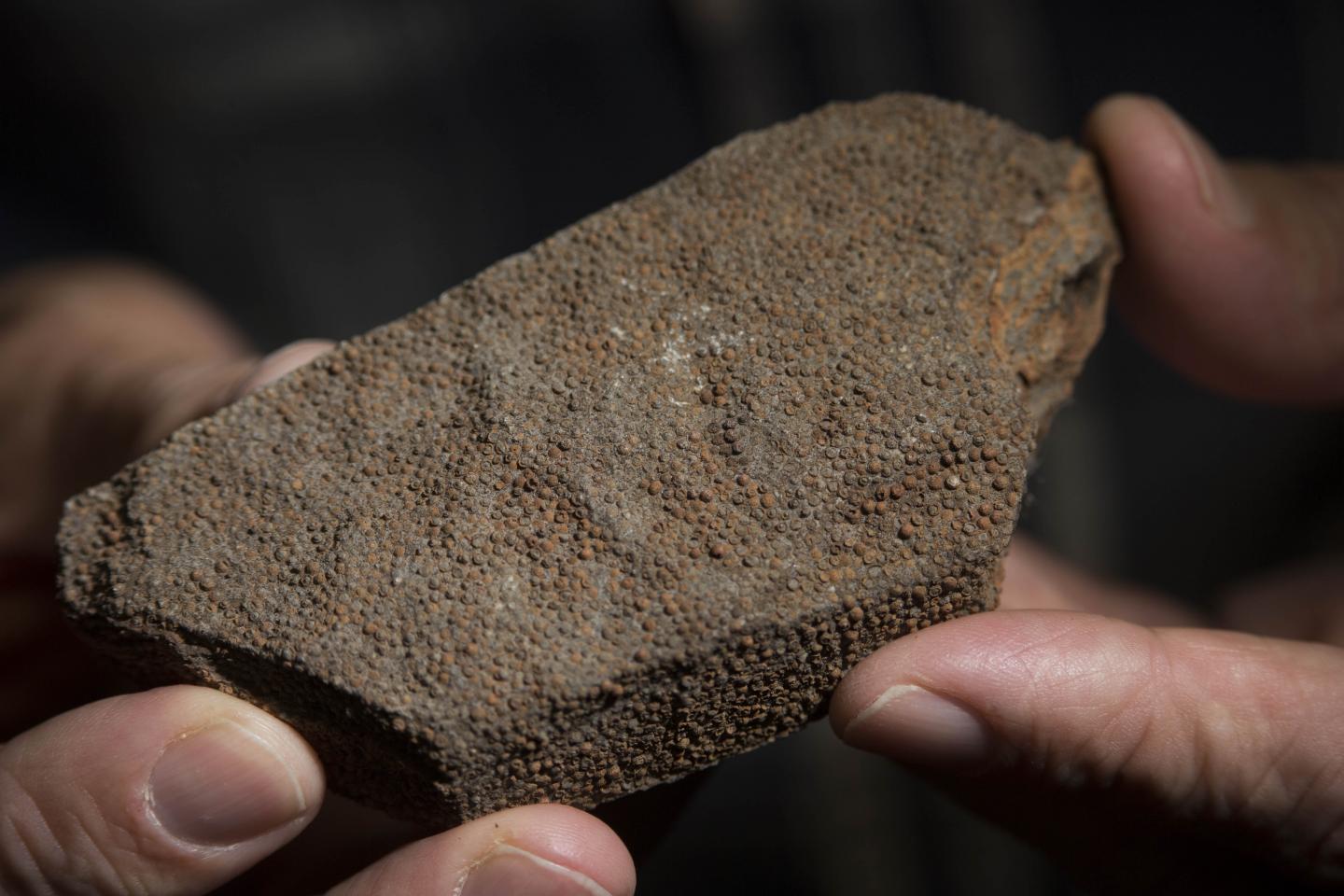 Rogenstein Oolite