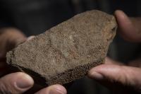 Rogenstein Oolite