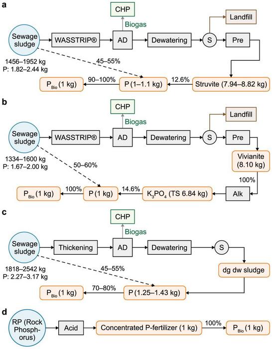 Detailed processes and parameters in three P recovery scenarios and P chemical fertilizer application. a, Struvite scenario; b, Vivianite scenario; c, Treated sludge scenario; d, P chemical fertilizer application. WASSTRIP®: Waste Activated Sludge Stripp