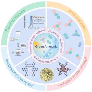 New insights for sustainable green ammonia production