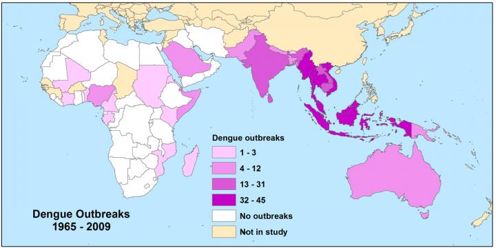 Dengue