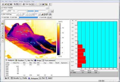 Termography