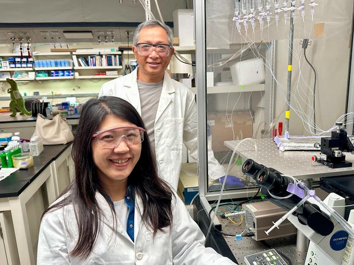 Yuhua Tian and Jie Zheng