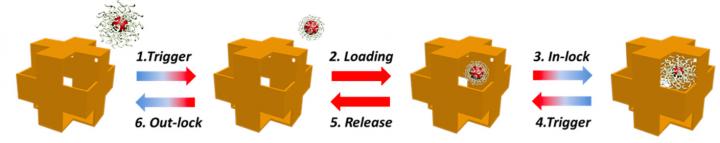 Nanowrapper Carrier Schematic
