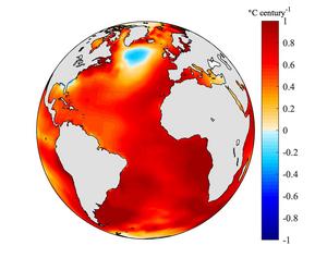 Ocean anomaly temperature map