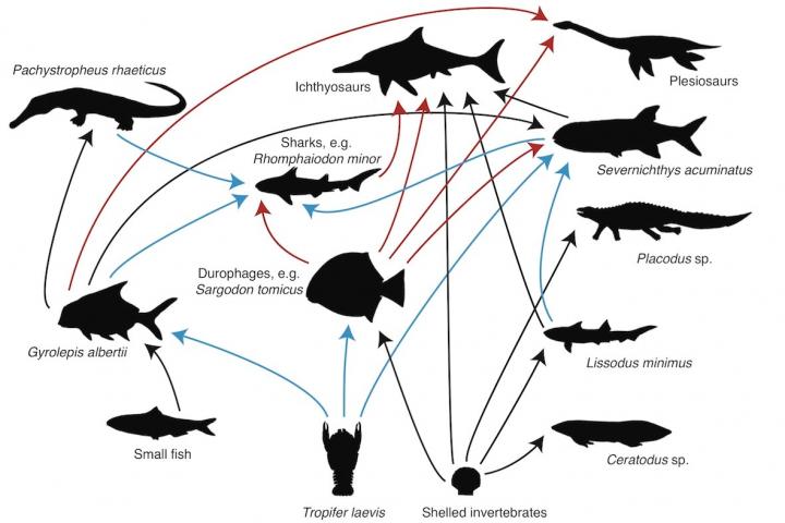 Fossil Poop Shows Fishy Lunches From 200 Million Years Ago