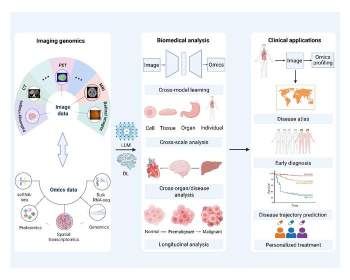 Roadmap for imaging genomics in the next decade