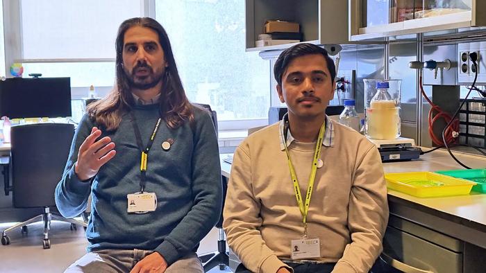 Statements in English by Javier G. Fernández (left) and Akshayakumar Kompa (right).