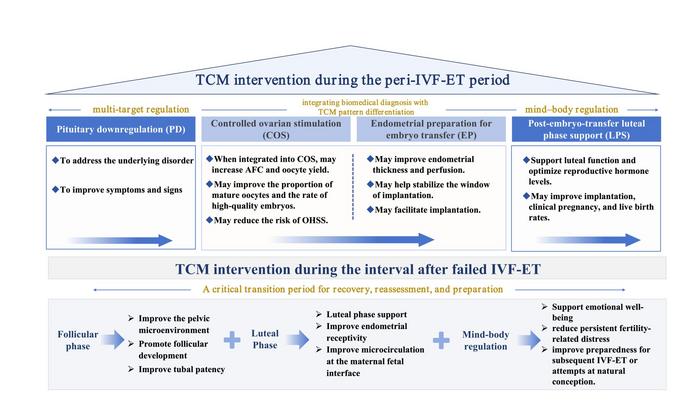 Integrated TCM pathway during the peri-IVF-ET period and the interval after failed IVF-ET