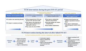 Integrated TCM pathway during the peri-IVF-ET period and the interval after failed IVF-ET
