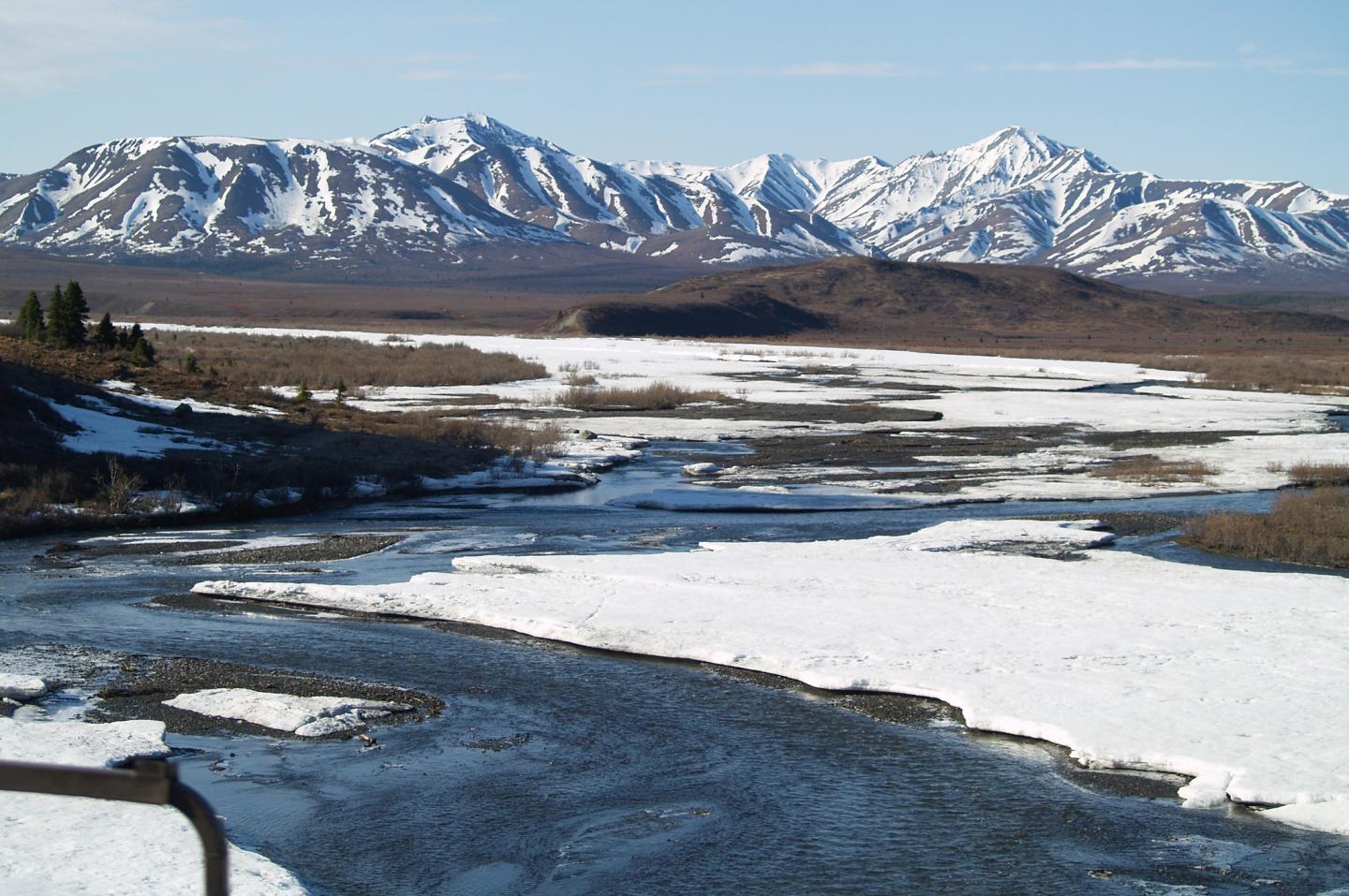 Arctic River