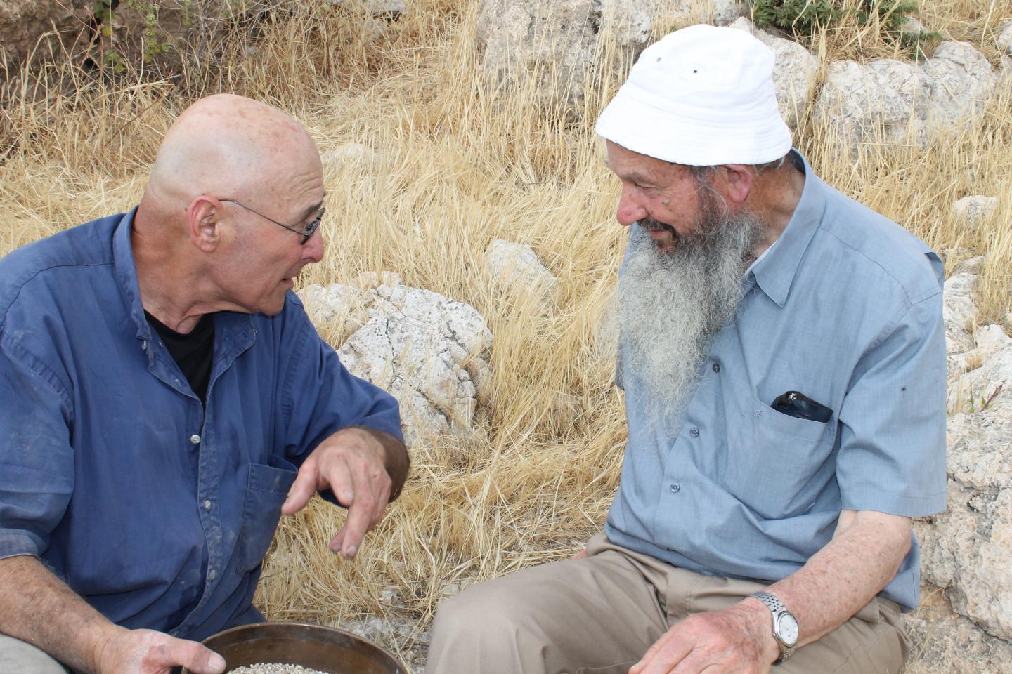 Discussing the Process