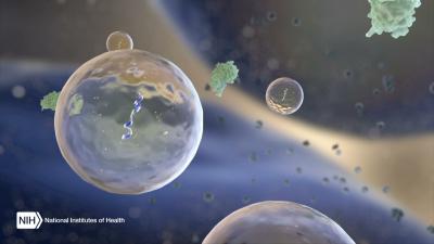 Extracellular RNA