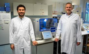 New method developed for the precise production of human neural circuits in the laboratory