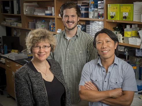 Eugenia Kharlampieva, Michael Zeiger and Hubert Tse, University of Alabama at Brimingham