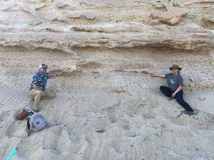 Whale fossils in road cut