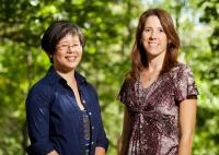 Green Research