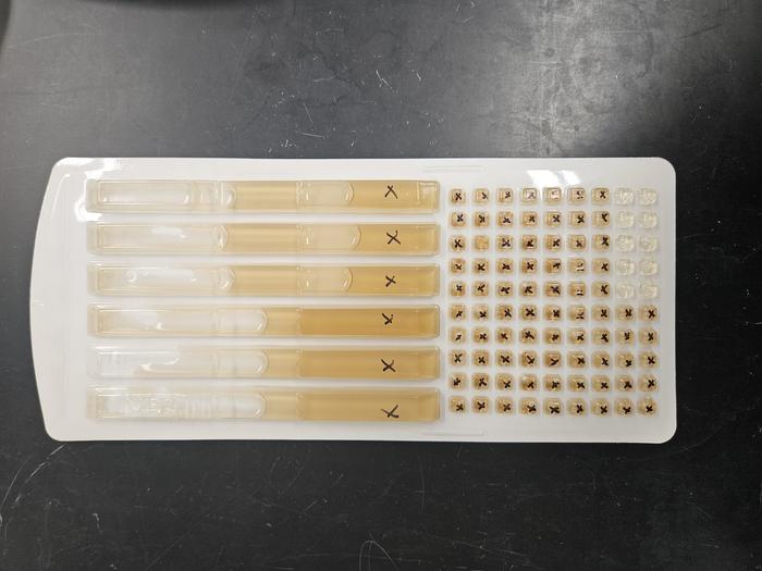Water Samples