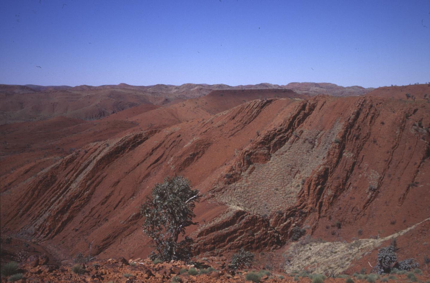 Collection Site