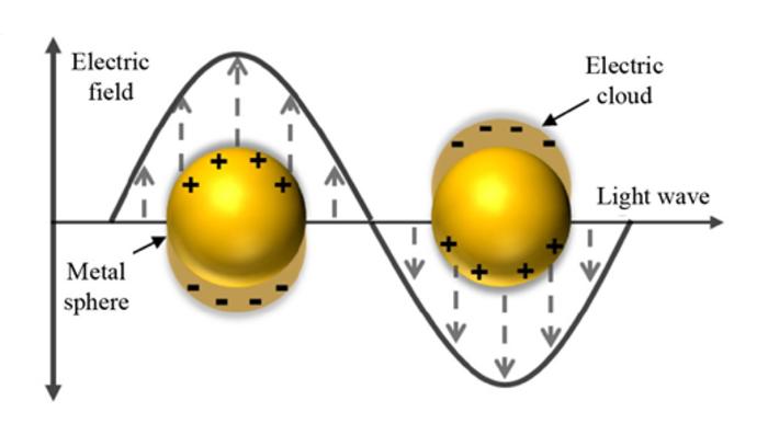 Scheme diagram of LSPR excitation (The interaction between light illumination and metal nanostructures causes the oscillation of the electron clouds)