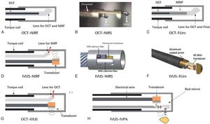 Figure 3Open multimedia modalTypical designs of imaging probes for various hybrid imaging modalities