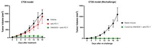 Anti-tumor efficacy in CT26 model and rechallenge results.