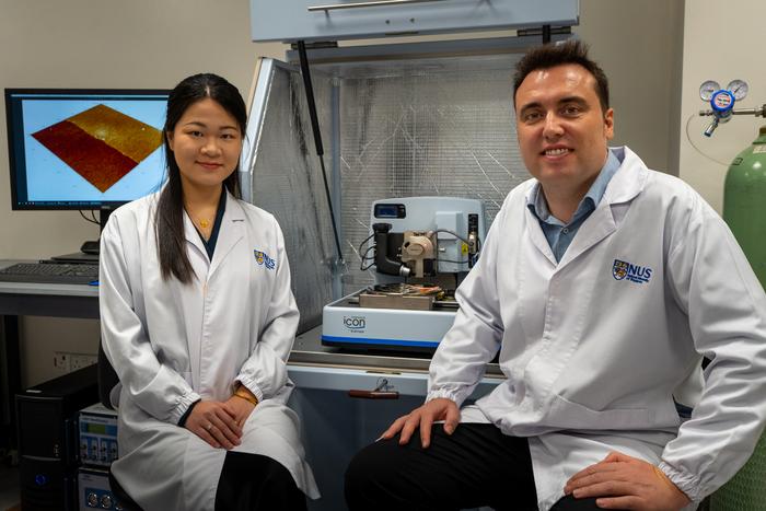 NUS CDE researchers reveal key design rule for atom-thin electronics