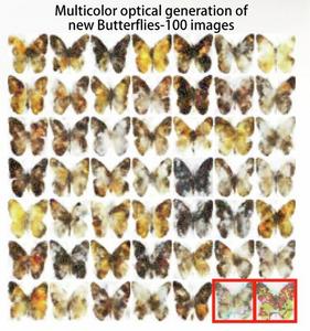 Butterflies