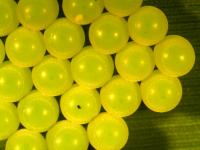 Stink Bug Eggs