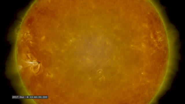 Two Weeks in the Life of a Sunspot