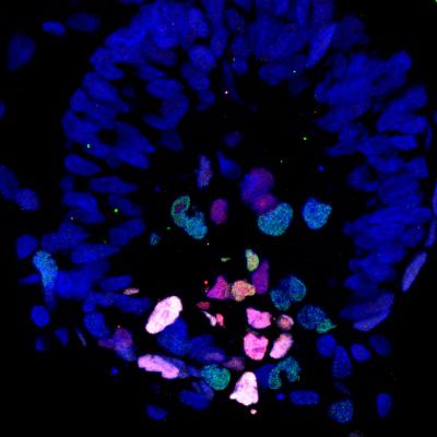 Science Image