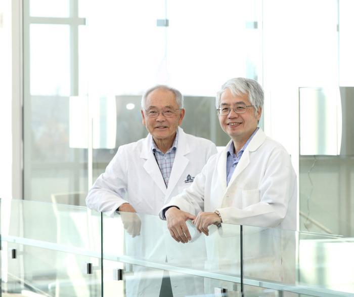 USU Researchers Introduce Healthier Alternative to Antibiotics in Livestock Production