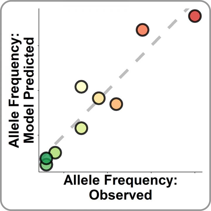 Observed vs Predicted