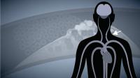 Illustration from Explainer Video (2 of 2)