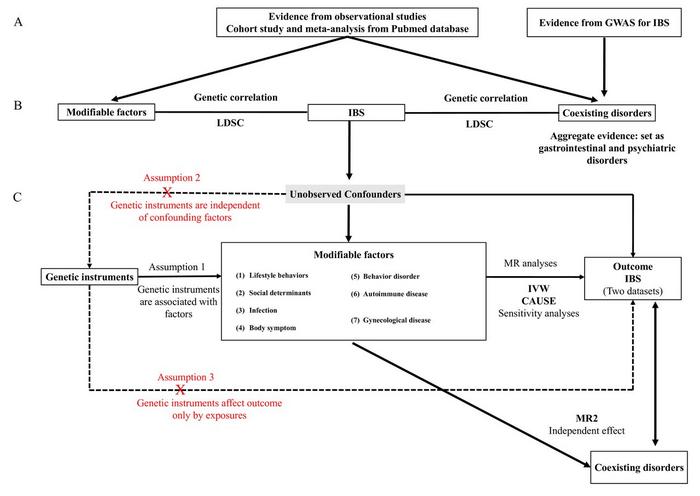 Overview of the design and methods used in this study.