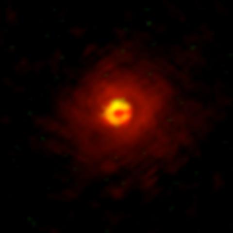 The Molecules around W Hydrae