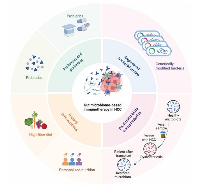 Microbiome-based therapeutic strategies to enhance immunotherapy efficacy in hepatocellular carcinoma.