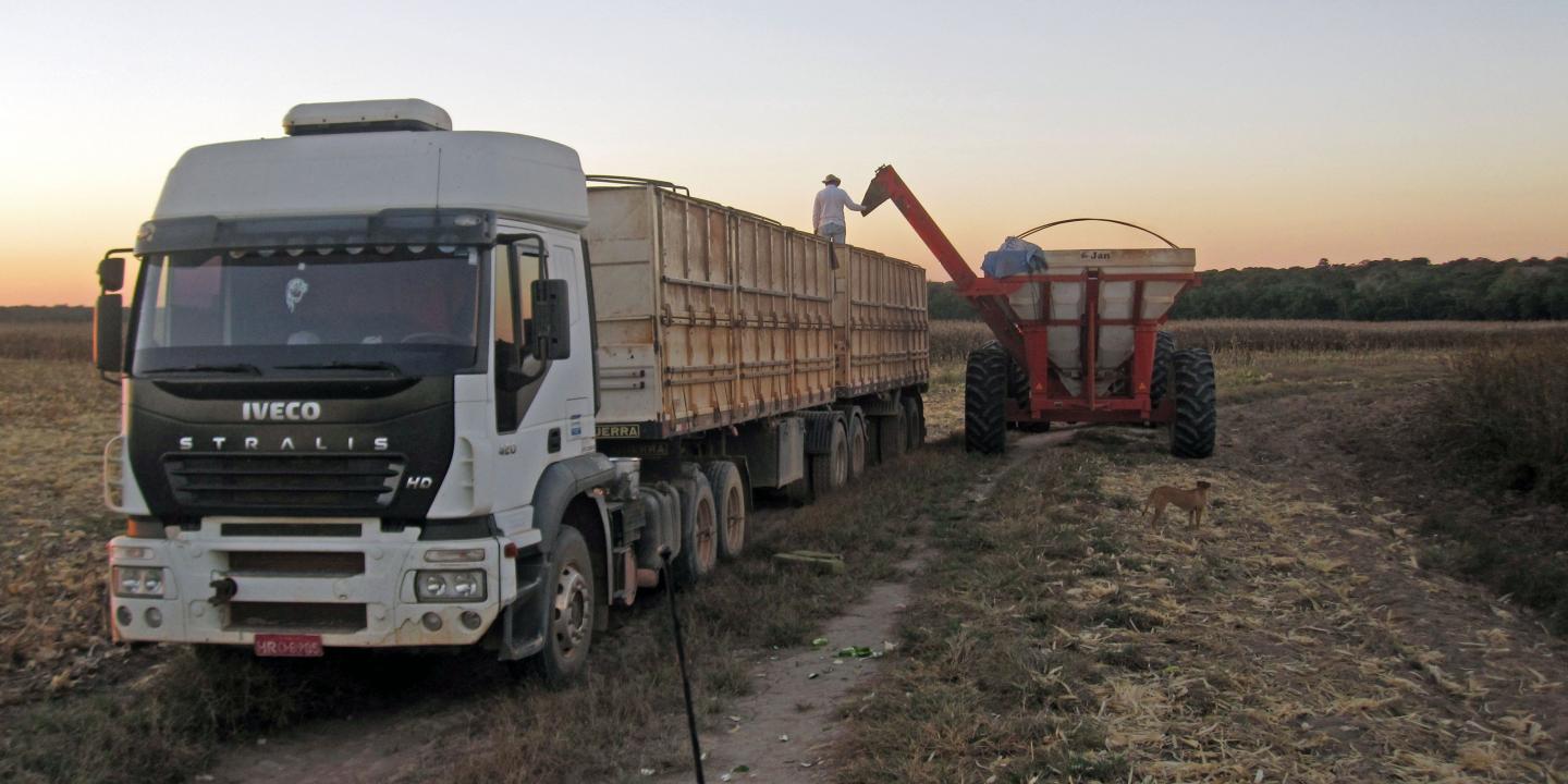 Farming in Brazil