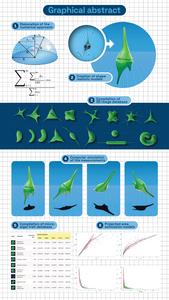 From cell shape to ecosystem function