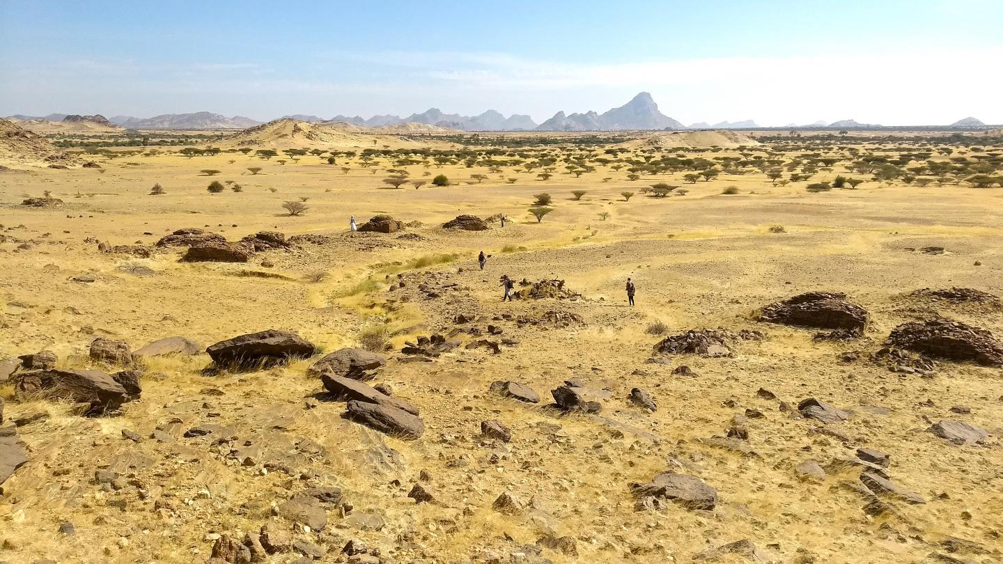 Ancient Islamic tombs cluster like galaxies