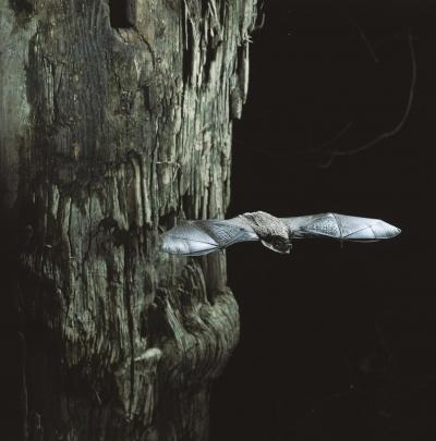 Parti-Colored Bat