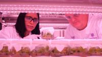 Avocado Researchers in Tissue Culture Laboratory