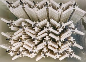 Coral seeding device