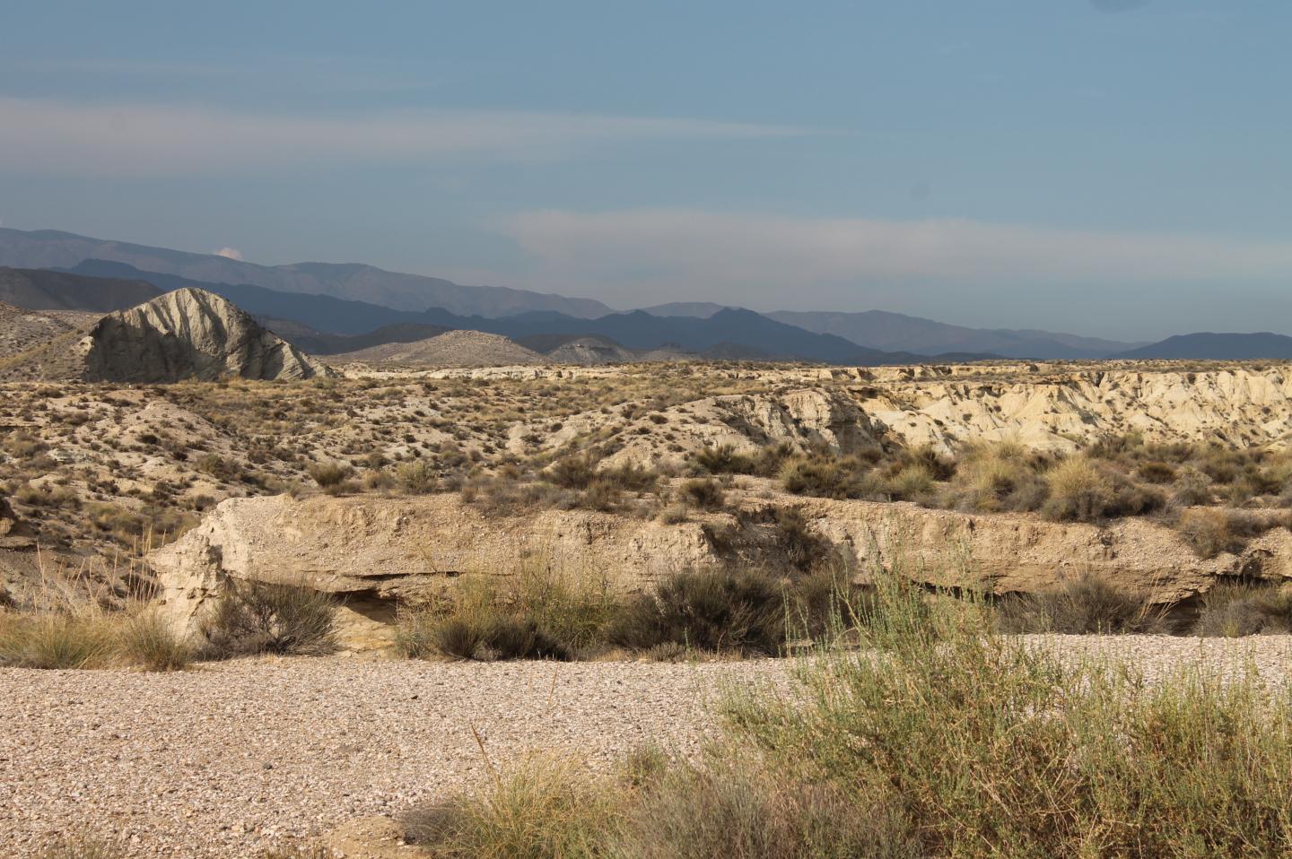 Tabernas Desert