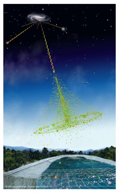 Particle Shower Depiction