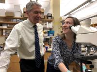 Found: the Missing Ingredient for Blood Vessel Formation (3 of 3)