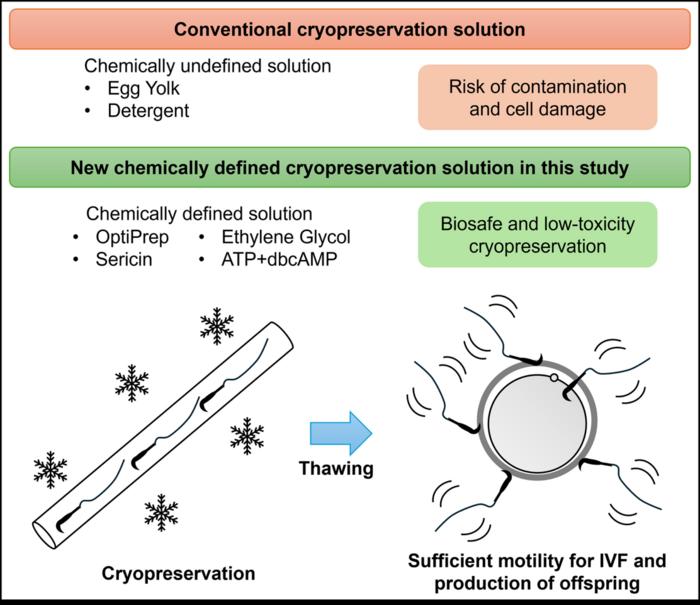 Cryopreservation methods