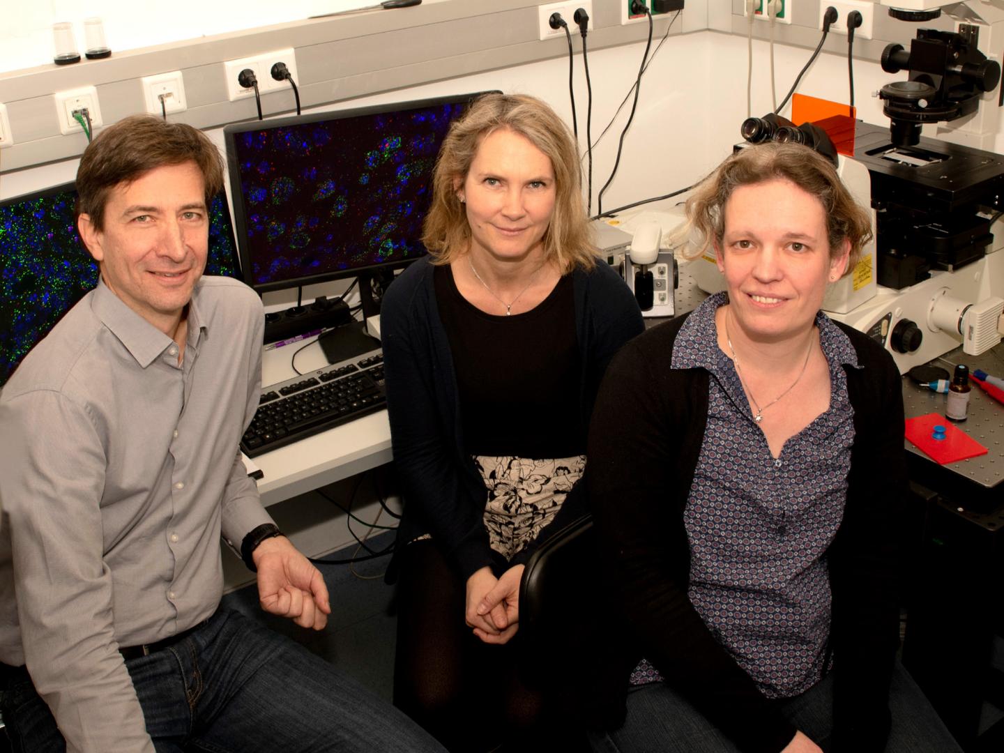 Researchers