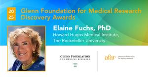 GLENN FOUNDATION FOR MEDICAL RESEARCH DISCOVERY AWARD: ELAINE FUCHS, PHD (THE ROCKEFELLER UNIVERSITY)